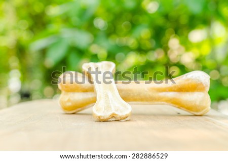 dog bone on wooden board with green background