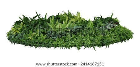 Similar – Image, Stock Photo Various plants in forest