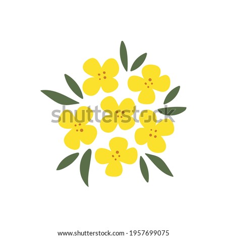 Hand-drawn yellow rapeseed flower. Blooming branch for postcards, logos. Flat style. Cartoon vector canola buds. All elements are isolated. Cute design for your project.