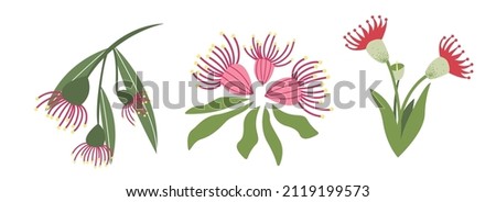 Branch Eucalyptus flower. Pink flower hand-drawn on a white isolated background. Decorative botanical element. A colorful flowering plant. Vector illustration in doodle style.