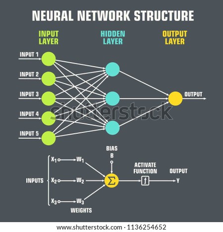 data inside a neural network. Logical scheme of a   perceptron with three outputs, an input and intermediate layers. Diagram of a neural network structure