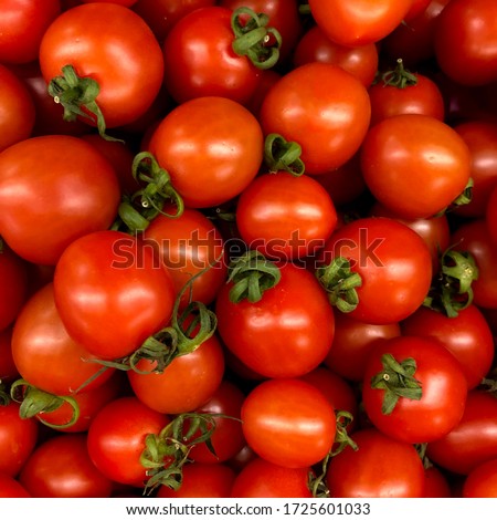 Macro photo of a vegetable red cherry tomato. Fruit vegetables tomato lies in rows. Stock photo  Background small tomatoes cherry 