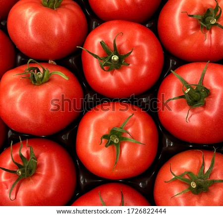 Macro Photo food vegetable tomato cherry. Texture background cherry tomatoes. Stock photo Cherry tomatoes are small juicy and red.