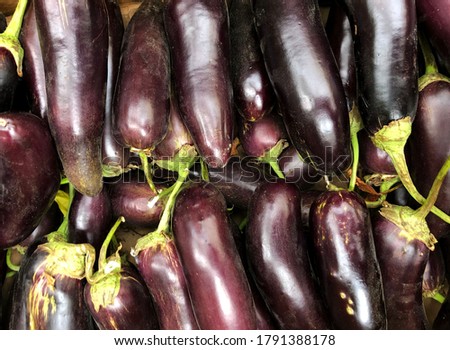 Macro photo vegetable eggplant. Stock photo background plant eggplant