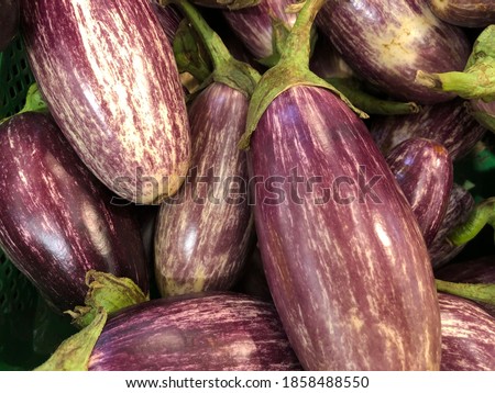 Macro photo of vegetable eggplant. 