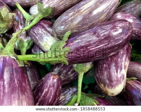 Macro photo of vegetable eggplant. 