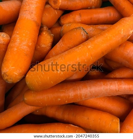 Macro photo vegetable carrot potato. Stock photo vegetable carrot background
