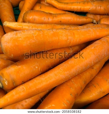 Macro photo vegetable carrot. Stock photo food vegetable carrot background