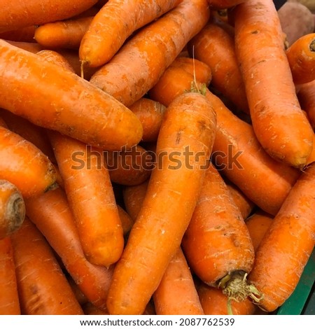 Macro photo vegetable carrot. Stock photo carrots background