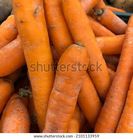 Macro photo carrot. Stock photo vegetable carrot background