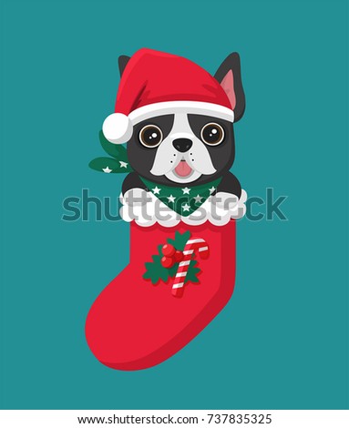 vector icon New Year  dog breed French Bulldog. The puppy sits in a Christmas sock.