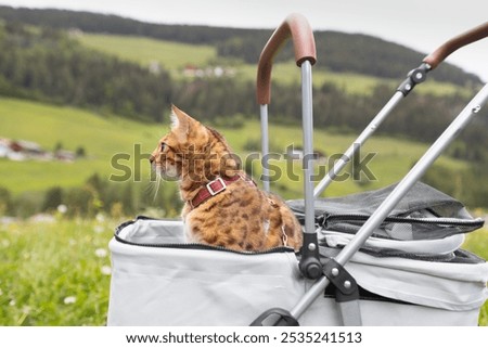 Similar – Foto Bild Spaziergänger in der Sonne mit Schatten