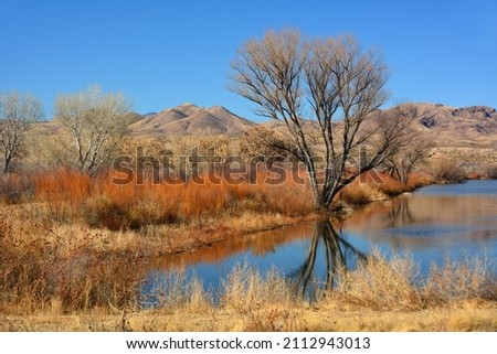 a  colorful winter scene  on a sunny day along the scenic auto loop in the marshland of the bosque del apache national wildlife refuge  near socorro, in southern new mexico  Foto stock © 