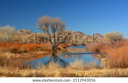 a  colorful winter scene  on a sunny day along the scenic auto loop in the marshland of the bosque del apache national wildlife refuge  near socorro, in southern new mexico  Foto stock © 