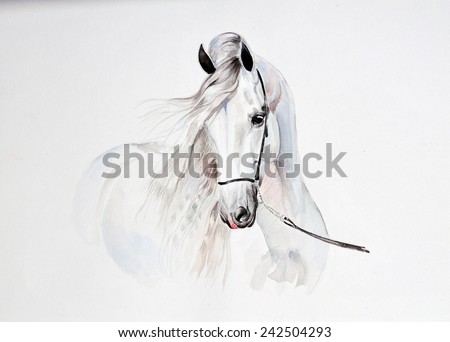 watercolor painting of andalusian horse portrait