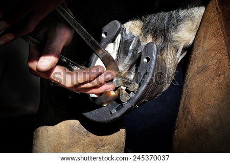 Similar – Image, Stock Photo Blacksmith taking horseshoe from furnace