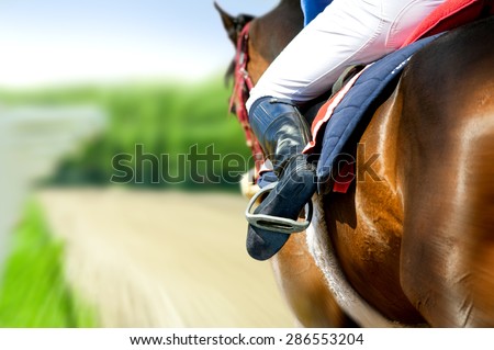 running racing thoroughbred horse coming first on hippodrome racetrack detail