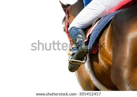 running racing thoroughbred horse coming first isolated on white detail
