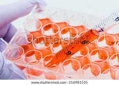 A laboratory technician culturing cells in a twenty four well plate.