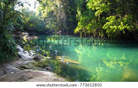 The Rio Grande (not related to the river on the Mexico/US border) flows through beautiful and dense jungle in southern Belize. This idyllic swimming location has a handrail and stepping stones. Foto stock © 