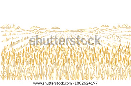 Agriculture wheat field. Hand drawn sketch. Rural landscape panorama. Cereal harvest. Dry grass meadow. Contour vector line. Bread wrapper. Copy space.