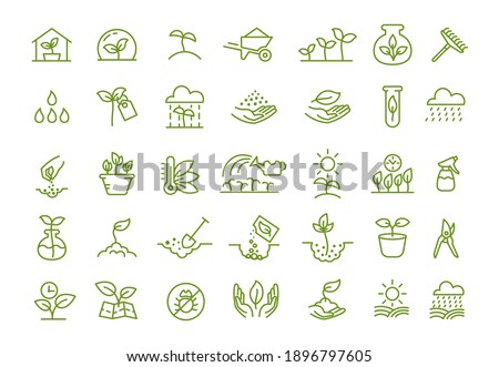 Set of icons. Growing seedlings plant shoots. Agriculture and gardener. Biotechnology plants. Sowing seeds. Vector contour green line.