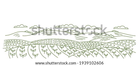 Agricultural field landscape. Seedlings of cereals. Rural countryside. Vector hand-drawn. Contour sketch line drawing.