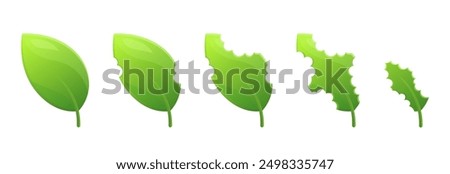 The process Biting Leaf pests. Insects plants eating bitten off. Leaf Icons. Vector illustration.