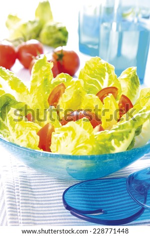 hearts of lettuce salad with tomatoes in blue atmosphere