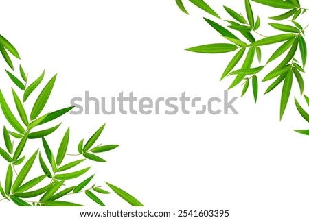 Horizontal frame, border with bamboo branch corners and green leaves. Vector hand drawn illustration. Perfect as web banner, postcard template and invitation for menu design.