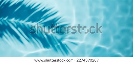 Similar – Image, Stock Photo Shade sea of leaves trees