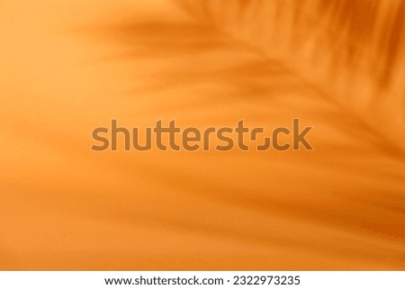 Similar – Image, Stock Photo Palm trees in warm evening light