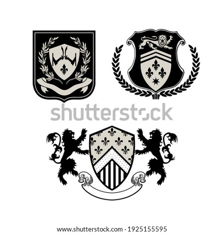 Coat Of Arms Vector Illustration Lion And Shield Vintage Heraldic Design for print t-shirt, embroidery, etc. Foto stock © 