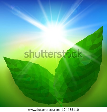 Green leaves on Green field and blue sky background. Raster version.