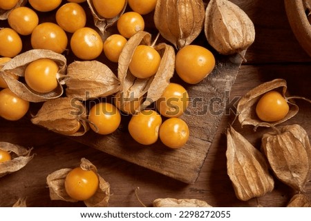 Foto Bild Die Frucht Physalis mit Kelchblättern