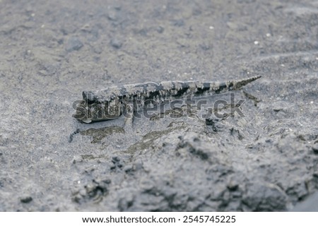 Similar – Image, Stock Photo dark blue mud at dusk Mud