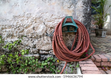 Similar – Image, Stock Photo Orange peels on cobblestones