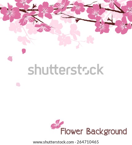 Branches with pink flowers isolated on white background