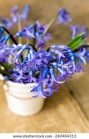 Blue hyacinths in the vase on the wooden table