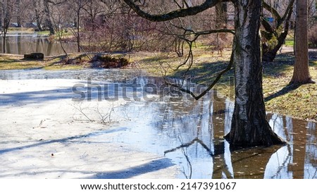 Similar – Image, Stock Photo Birch tree with reflection in bog lake, on a meadow is a bench