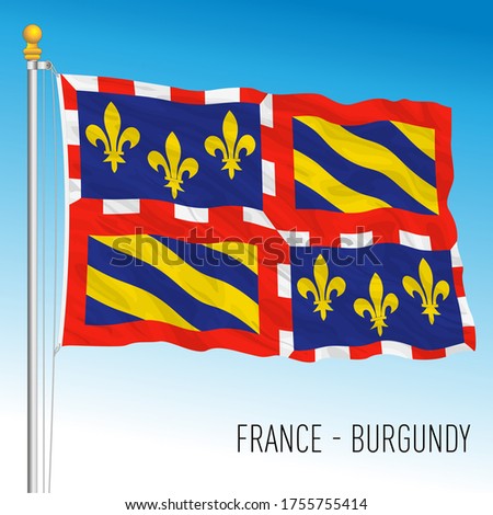 Burgundy official regional flag, France, vector illustration Imagine de stoc © 