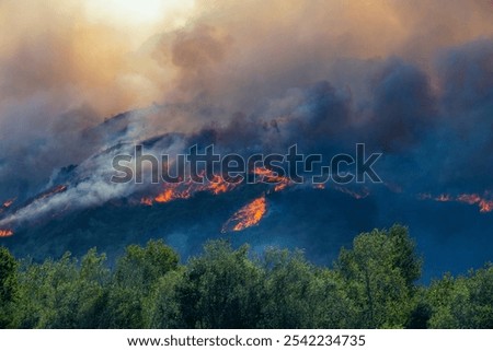Image, Stock Photo Fire is burning. Green grass is all around. Wild summer night. Naked blonde girl on the ground. Sexy back and black lingerie. A sensual image is full of lust.