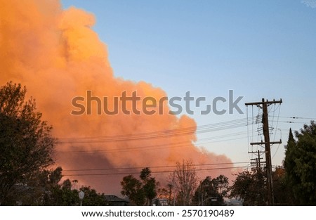 Similar – Image, Stock Photo Helicopter and tree