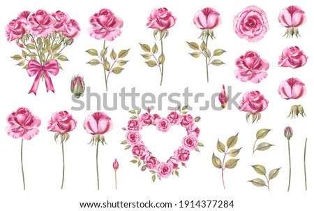 Watercolor rose illustration set: pink roses, bouquet of roses, buds, stems, leaves, pink bow, roses in a shape of heart.