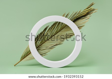 Green background with palm leaf for branding and packaging presentation. Natural skincare beauty product concept.