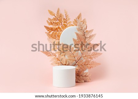 White podium with branch of leaves and arch to show cosmetic products. Beige color background for branding and packaging presentation. 商業照片 © 