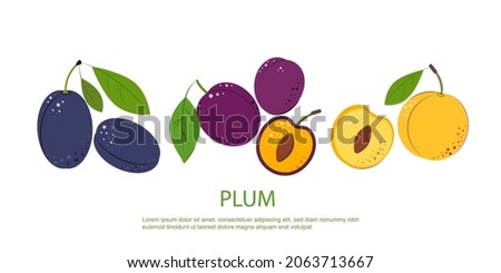 Composition of Plum Berry Whole and Cut One. Ripe juicy Berries with Green Leaves. Plum for jam and dessert. Flat style. Vector Illustration.