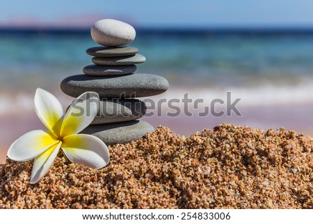Zen meditation spa relaxation background - balanced stones stack with frangipani plumeria flower close up on sea beach