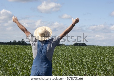 farmer standing in a corn field praying for rain