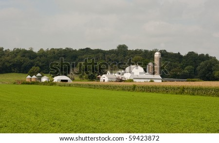 midwest dairy farm with crops on an overcast day